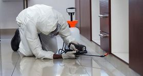N' Service, Dedetização contra pragas para imóveis até 150 m² na N' Service N' Service, Dedetização contra pragas para imóveis até 150 m² na N' Service